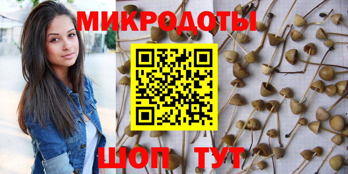 Нарьян-Мар  Псилоцибиновые грибы ЛСД  Псилоцибиновые грибы Psilocybe  Вход с VPN 